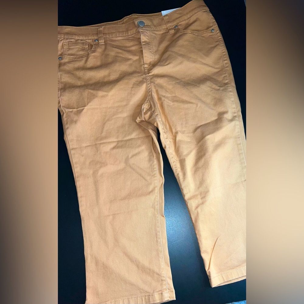 Lane Bryant High Rise Orangey Brown Pedal Pants Size 14 NWT